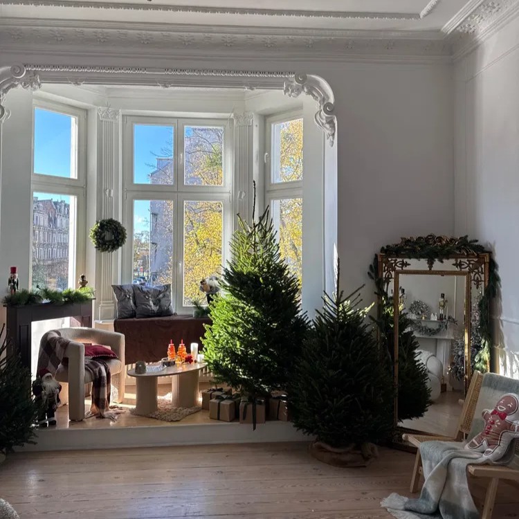 Piersze świerki z Plantacji Choinki Folwark Osowo trafiły już do domów. Bajkowy świąteczny wystrój, a w centrum uwagi choinka.